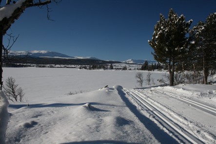 Vasetvannet rundt1